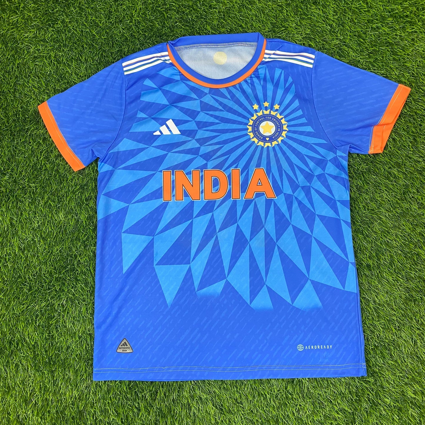 INDIA CRICKET T20